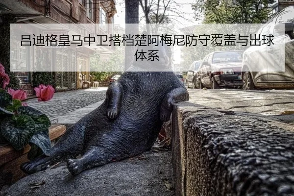 lv-di-ge-huang-ma-zhong-wei-da-dang-chu-a-mei-ni-fang-shou-fu-gai-yu-chu-qiu-ti-xi-2-774.jpg